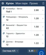 чили 1.webp
